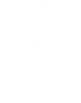 Vasiliki Beach Camping