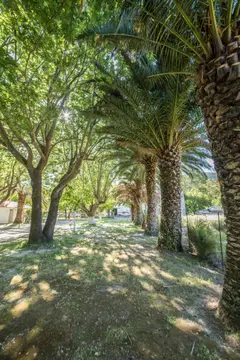 Vasiliki Beach Camping