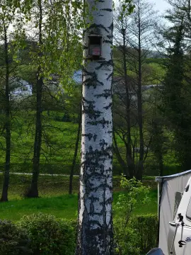 Terassen-Camping Schlierbach