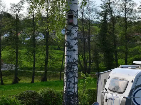 Terassen-Camping Schlierbach
