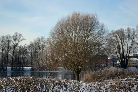 Campingplatz Haselfurth