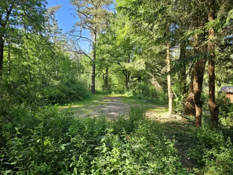 Schaalsee Camp