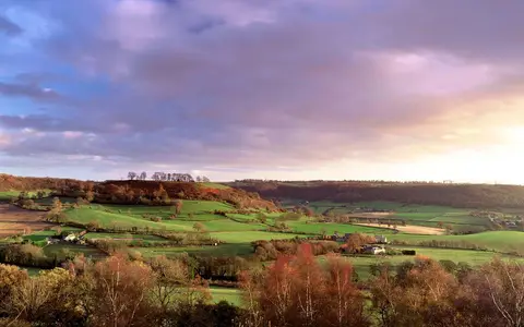 Hogsdown Farm