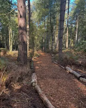 Lees Wood Scout & Guide Activity Centre