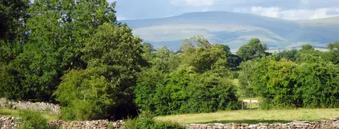 Greengill Campsite