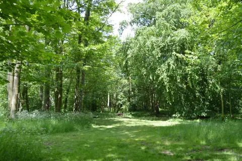 Swattesfield Campsite