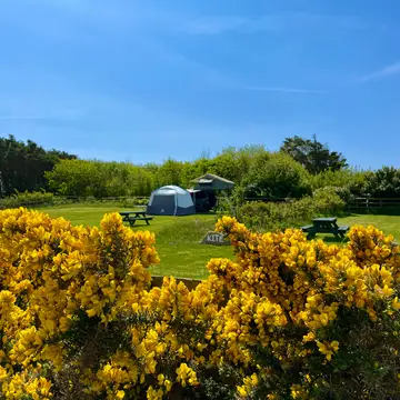 Dunes at Whitesands Camping