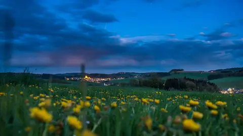 Wiesengrund