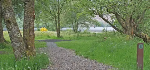 Loch Chon Campsite