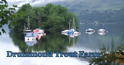 Drummond Fish Farm