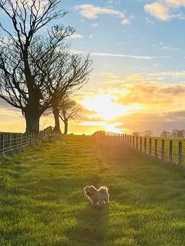 Annstead Farm