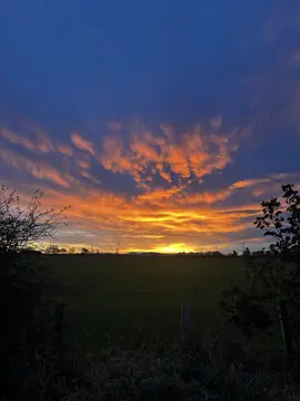 Annstead Farm