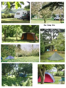 Forest Road Camping