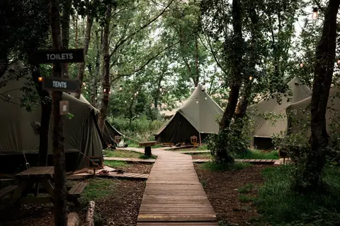 The Wilderness Company