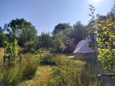 Ffynonwen