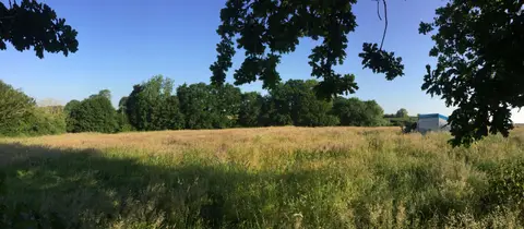 Birds and Bees Campsite