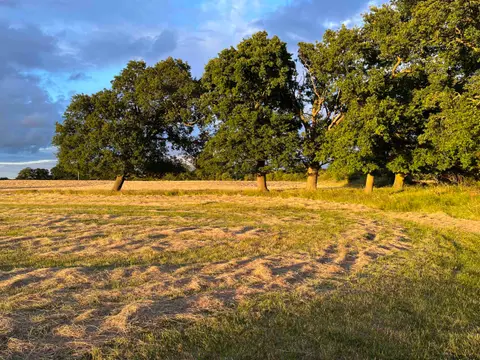 Four Oaks Camping