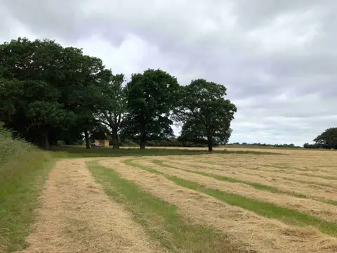 Four Oaks Camping