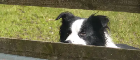 Gill Head Farm