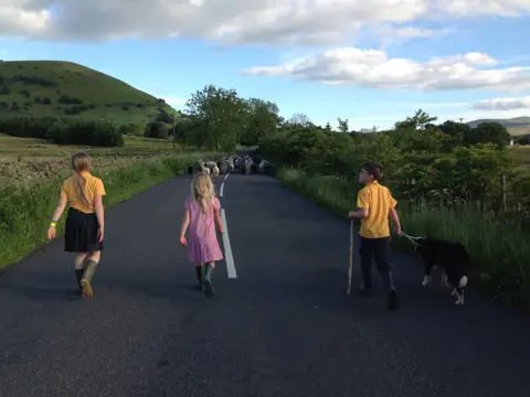 Gill Head Farm Caravan and Camping
