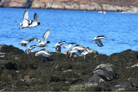 Ardmair Point Touring Park