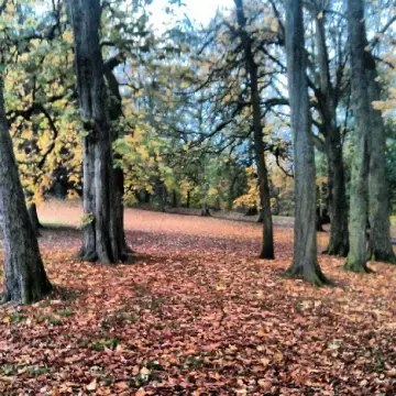 Brown Bank Caravan Park