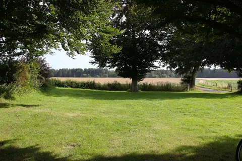 The Beeches