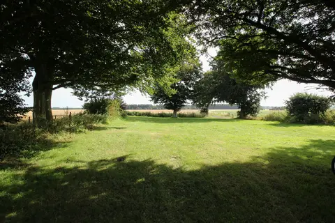 The Beeches