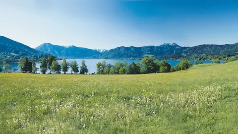 Campingplatz Wallberg