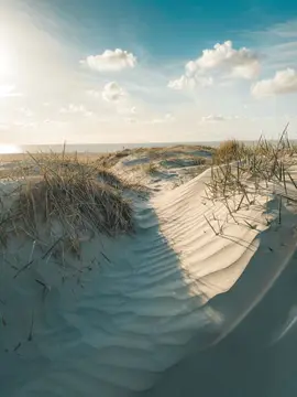 Nordsee-Camp Norddeich