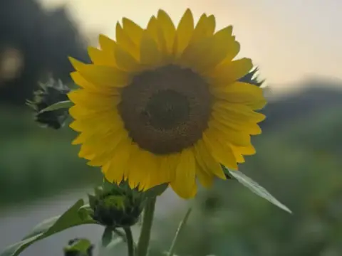 Feriengebiet Sieverings-Beel