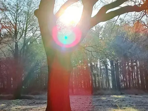 Feriengebiet Sieverings-Beel
