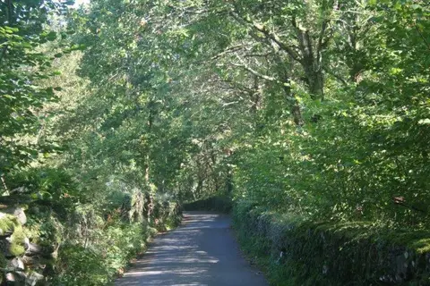 Dinas Farm Caravan Park and Camping