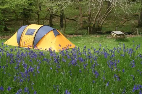 Dinas Farm Caravan Park and Camping