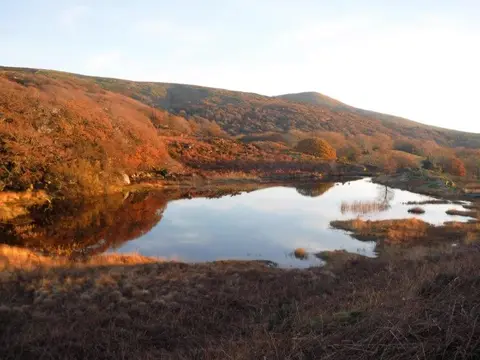 Dinas Farm Caravan Park and Camping
