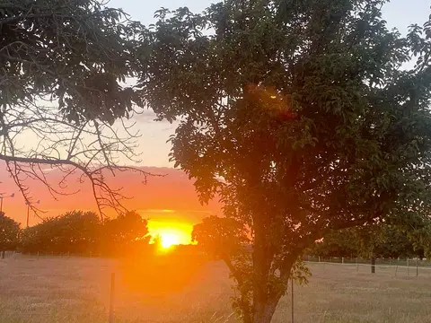 Grange Farm Campsite