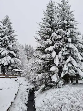 Waldcampingplatz Polstertal