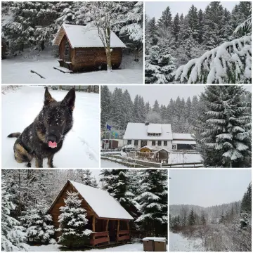 Waldcampingplatz Polstertal