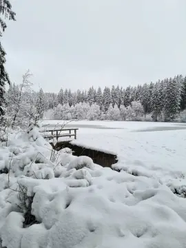 Waldcampingplatz Polstertal