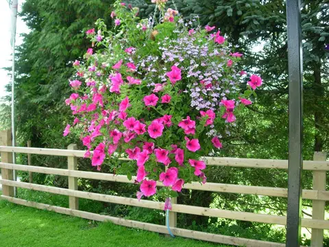 Erwbarfe Farm Caravan Park