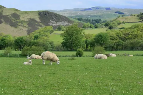 Erwbarfe Farm Caravan Park