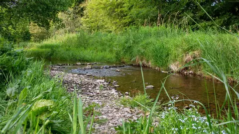 Lauder - Camping and Caravanning Club Site