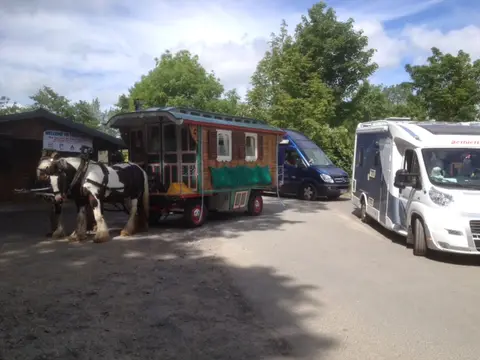 Tree Grove Caravan and Camping Park