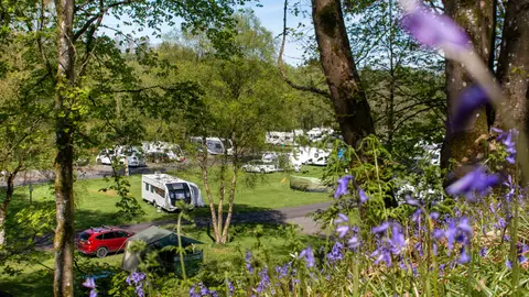 Haltwhistle - Camping and Caravanning Club Site