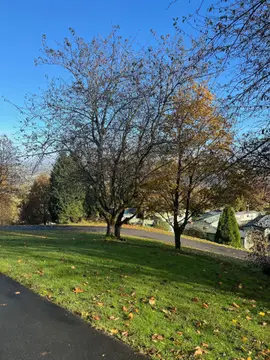 School Wood Farm Holiday Home Park