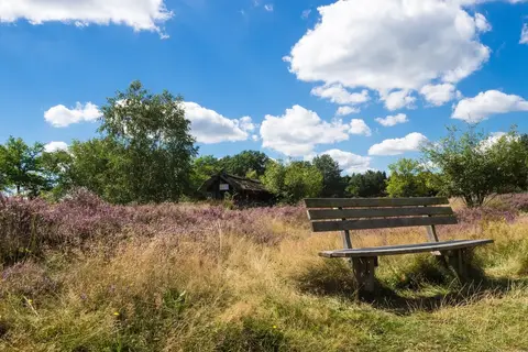 Campingplatz Waldesruh