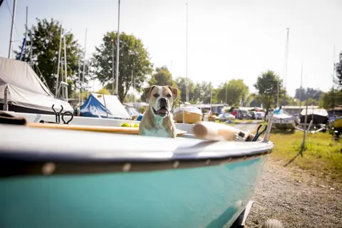 Campingplatz Utting