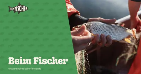 Camping beim Fischer