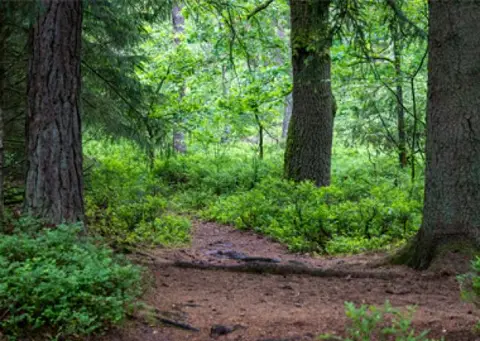 Camping-Park Lüneburger Heide