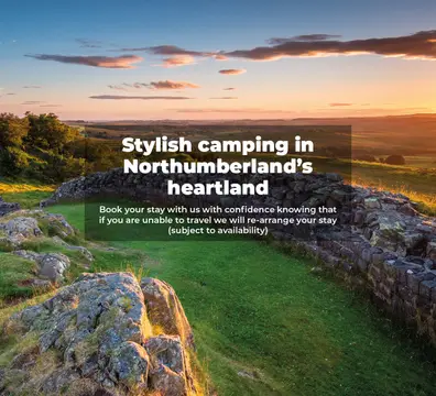 Herding Hill Farm Camping